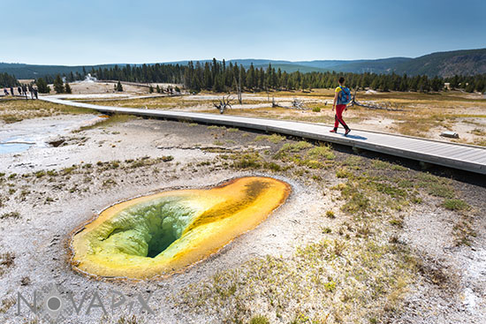 Belgian Pool - Yellowstone - 2017