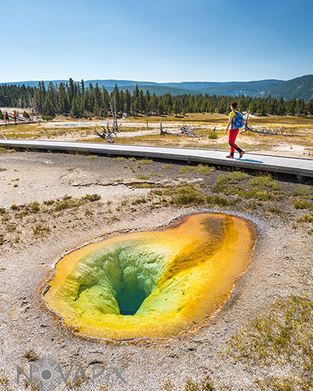 Belgian Pool - Yellowstone - 2017