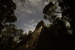 Tikal - Le temple V et la constellation d'Orion