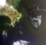 Pollution dans le Golfe du Mexique