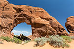 Pine Tree Arch - Arches National Park - Utah