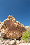 Petroglyphes - Arches National Park - Utah