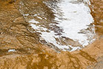 Yellowstone 