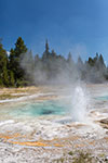 Geyser - Yellowstone 