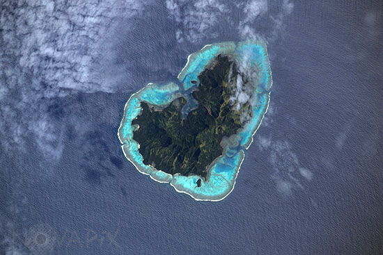 Matuku - Fiji