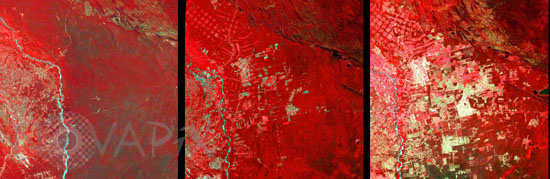 Deforestation in Bolivia