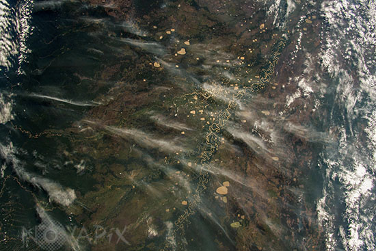 Amazon rainforest wildfires