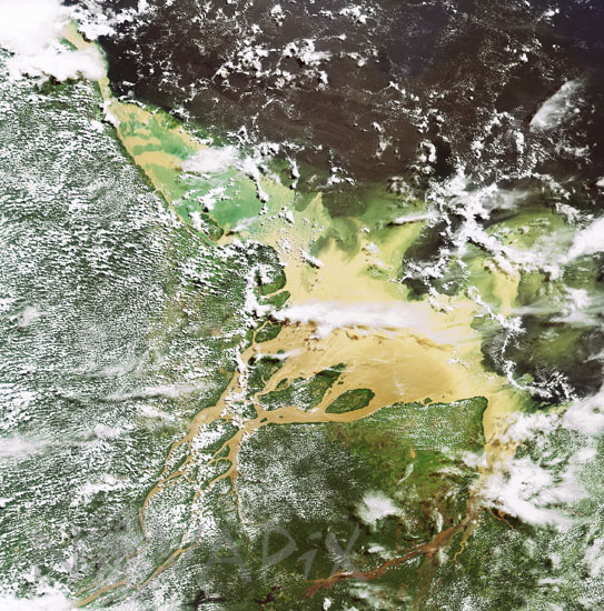 Les Bouches de l'Amazone, Brésil