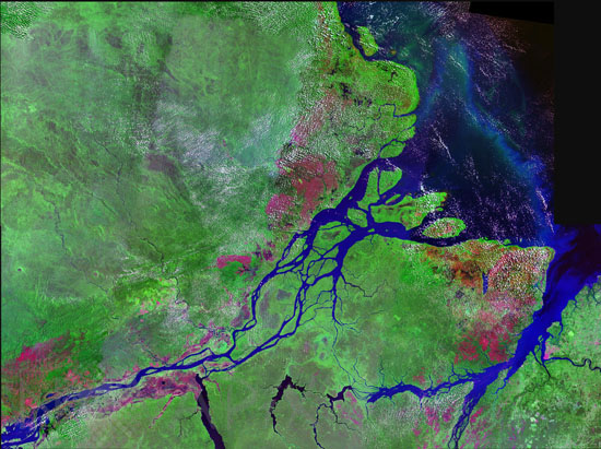 The Amazon mouth, Brazil