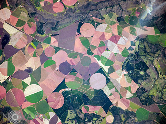 Agriculture au Brésil 