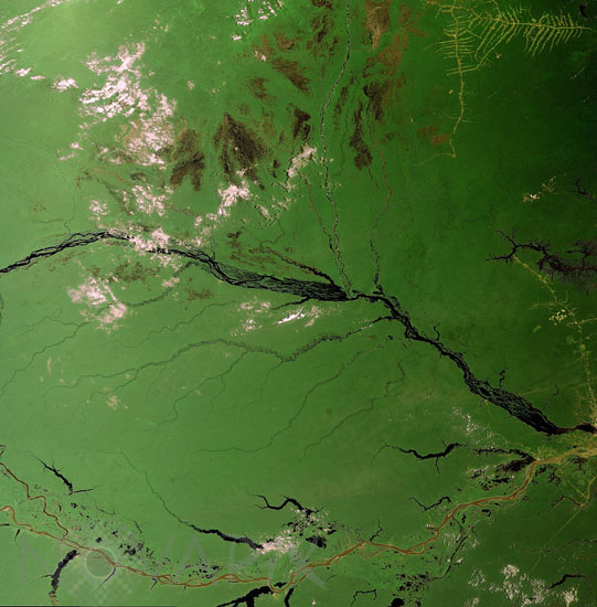 Amazon bassin as seen by Envisat