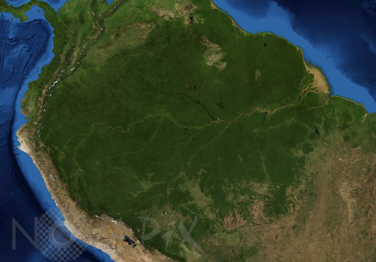 Amazon river seen from space