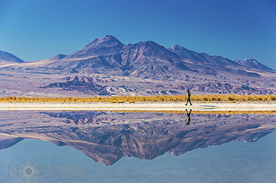 Laguna Cejar - Désert d'Atacama - Chili