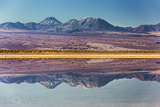 Laguna Cejar - Désert d'Atacama - Chili