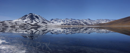 Laguna Miscanti. Chile