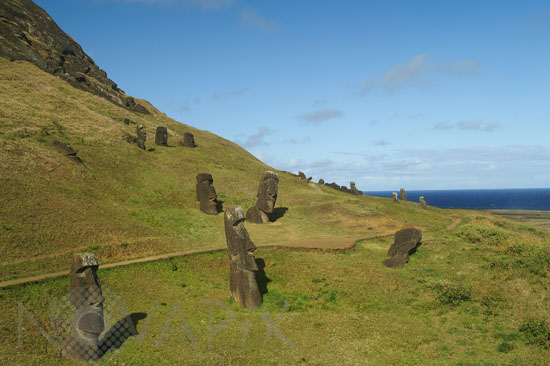 Moais de l'ile de Pâques