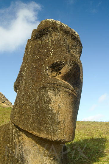 Moai de l'ile de Pâques