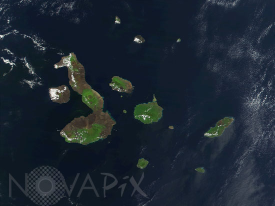 Iles Galapagos