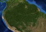 Le fleuve Amazone vu par satellite