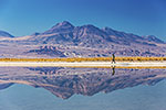 Laguna Cejar - Désert d'Atacama - Chili