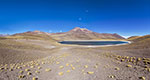 Laguna Miniques, Chili