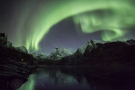 Aurore boréale - Lofoten - Norvège