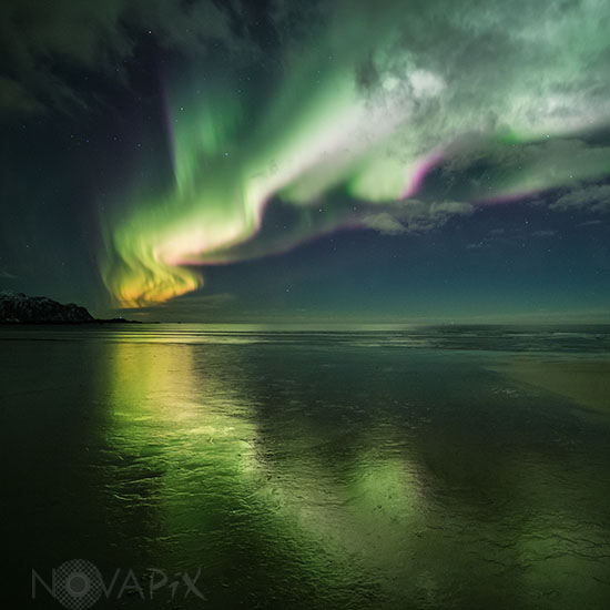 Icy Aurora