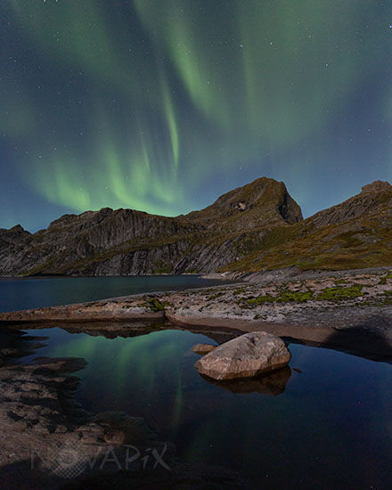 Aurore boréale - Lofoten - Norvège