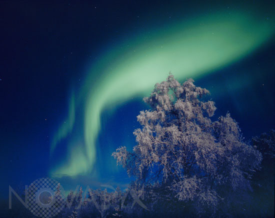 Aurora borealis in Finland 11/1998