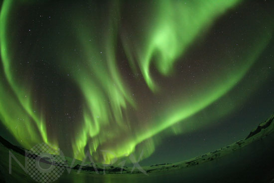 Aurore boréale observée en Islande