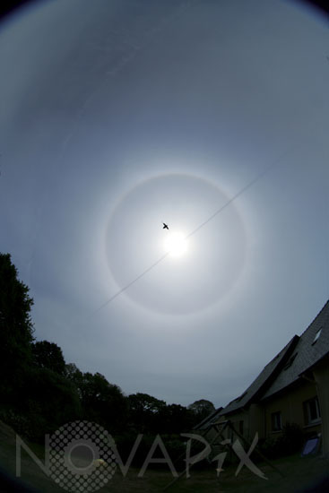Sun Halo and contrail.