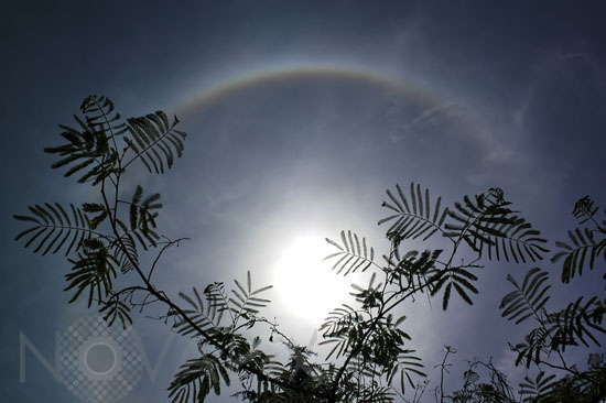 Sun Halo