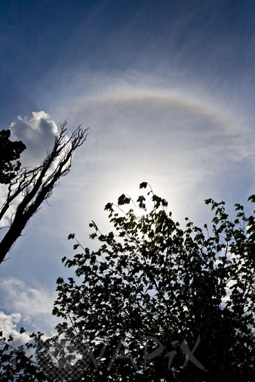 Sun Halo