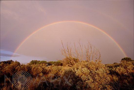 Rainbow