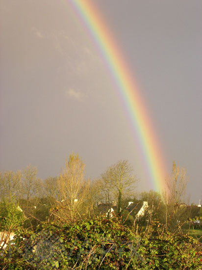 Rainbow