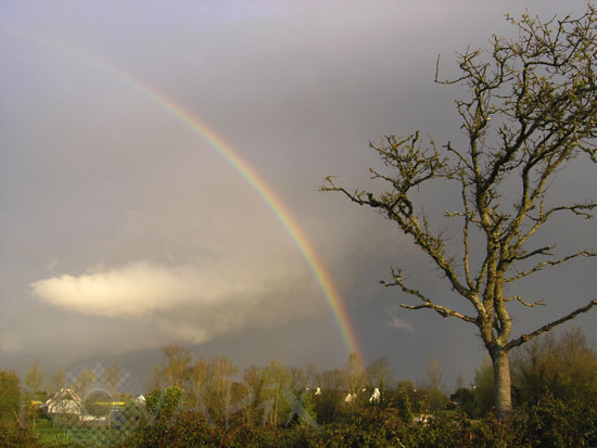 Arc-en-ciel