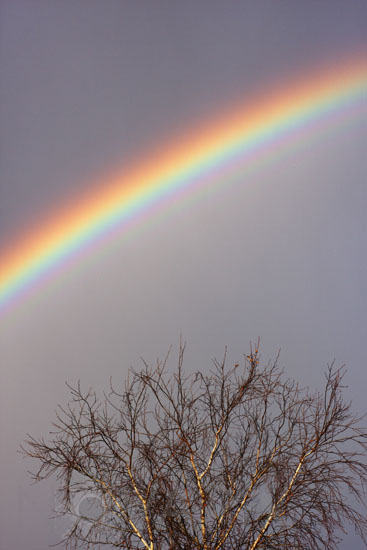 Arc-en-ciel avec arcs surnuméraires