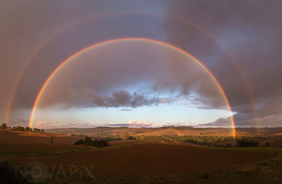 Rainbow