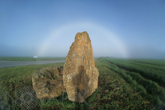 Fogbow