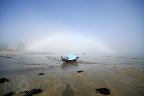 Fogbow