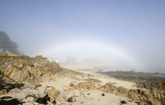 Fogbow