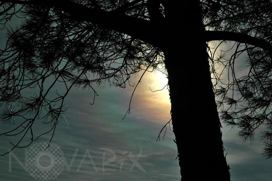 Corona around the Sun