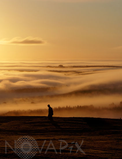 Brume matinale