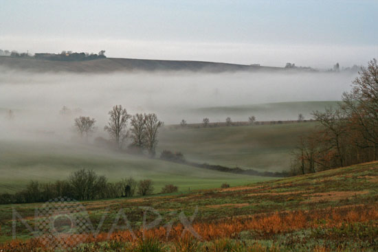 Brume matinale