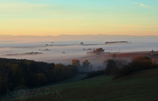 Brume matinale