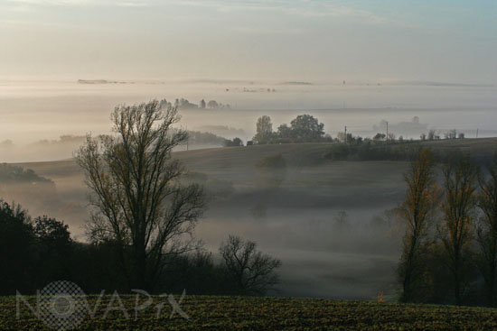 Brume matinale