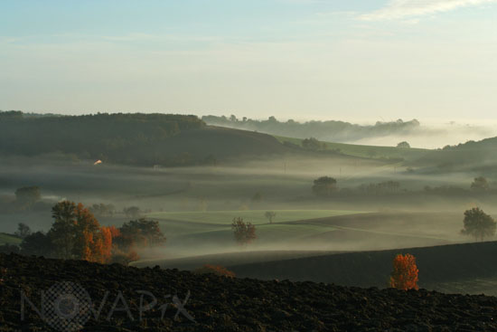 Brume matinale