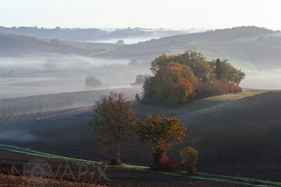 Brume matinale
