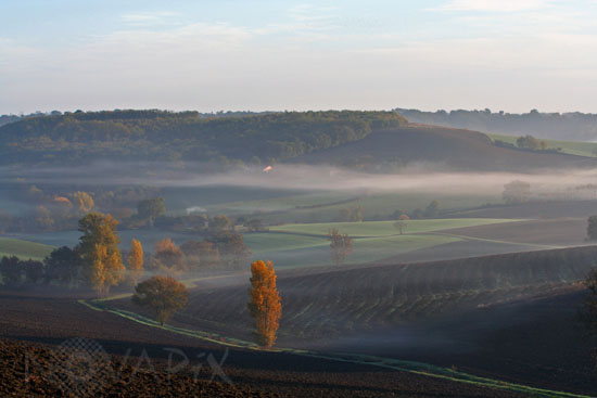 Brume matinale