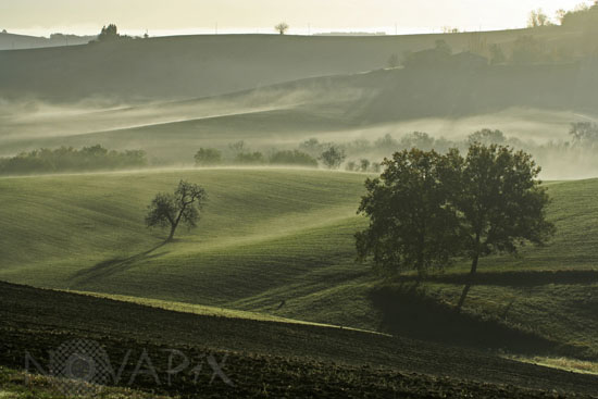 Brume matinale